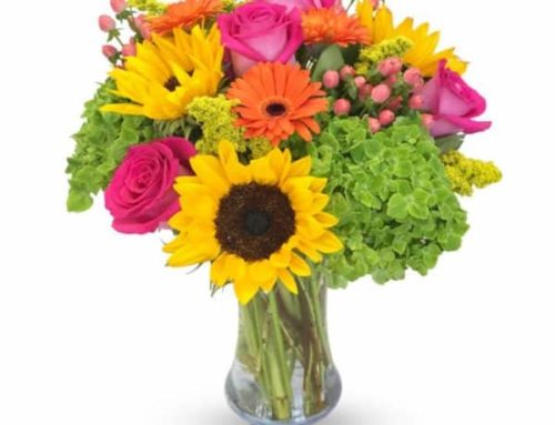 Hoover-Fisher Florist Provides Same-Day Delivery to NIH Clinical Center.