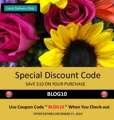 Discount Offer, Save $10 On Your Purchase