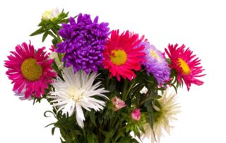 Hoover-Fisher Florist Offers Stunning September Birthday Flowers and Plants Same-Day Flower Delivery Service