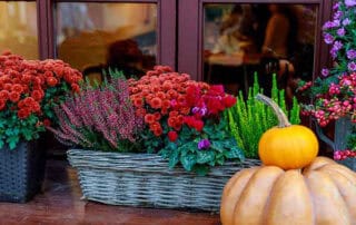 Hoover-Fisher Florist Offers Colorful and Fresh Autumn Flowers Same-Day Flower Delivery Service