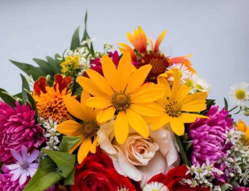 Cabin John Maryland Flower Delivery for Special Holidays Like Thanksgiving is Offered by Hoover Fisher Florist