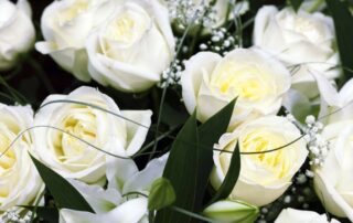 Hoover-Fisher Florist offers beautiful white roses for New Years